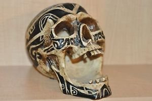 HEAD HUNTER ANCESTRAL HUMAN TROPHY RESIN SKULL TATOO