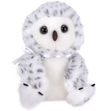 Shining Stars: White and Grey Snowy Owl
