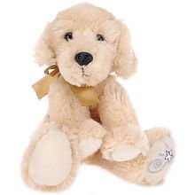 Shining Stars: Yellow Lab