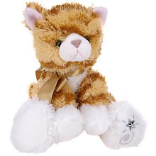 Shining Stars: Orange Tabby Cat