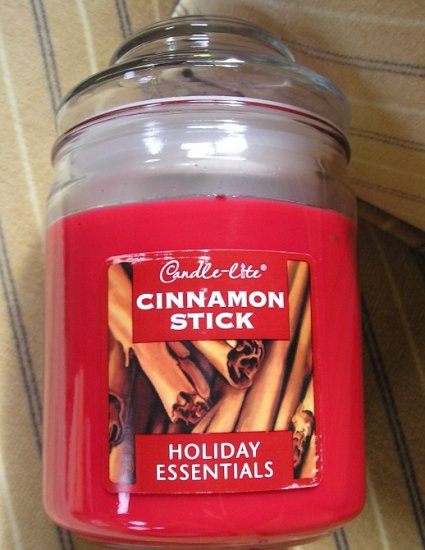 NEW Holiday Essentials Cinnamon Stick Scented Jar Candle 20 oz Candle