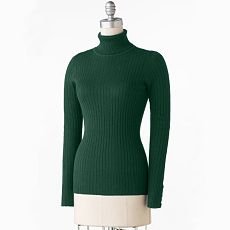 Daisy Fuentes Womens Sweater Long Sleeve Sz. Extra Large in Green XL Turtle Neck Ribbed Sweater NEW