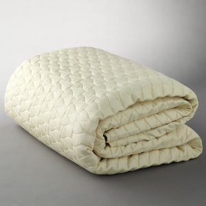 Coverlets  Beds Ivory on New Vera Wang Persimmon Full Queen Coverlet Quilt Ivory Bedding  180