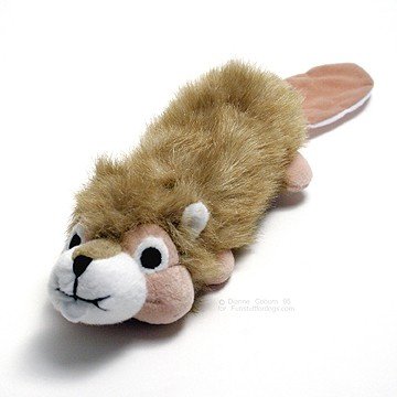 beaver