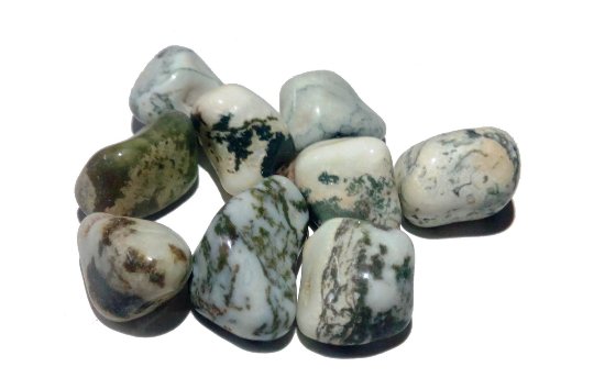 Tree Agate Tumbled Stone - Set Of 7