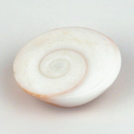 Big Gomti Chakra