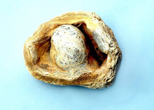 Natural Shiv Linga Antique piece - Only one Piece Available No carving done