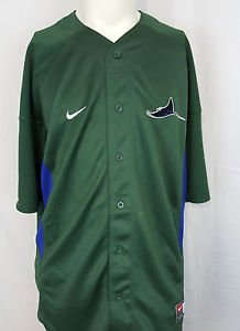 Tampa Bay Devil Rays MLB Green Nike Baseball Sewn Jersey - L Large
