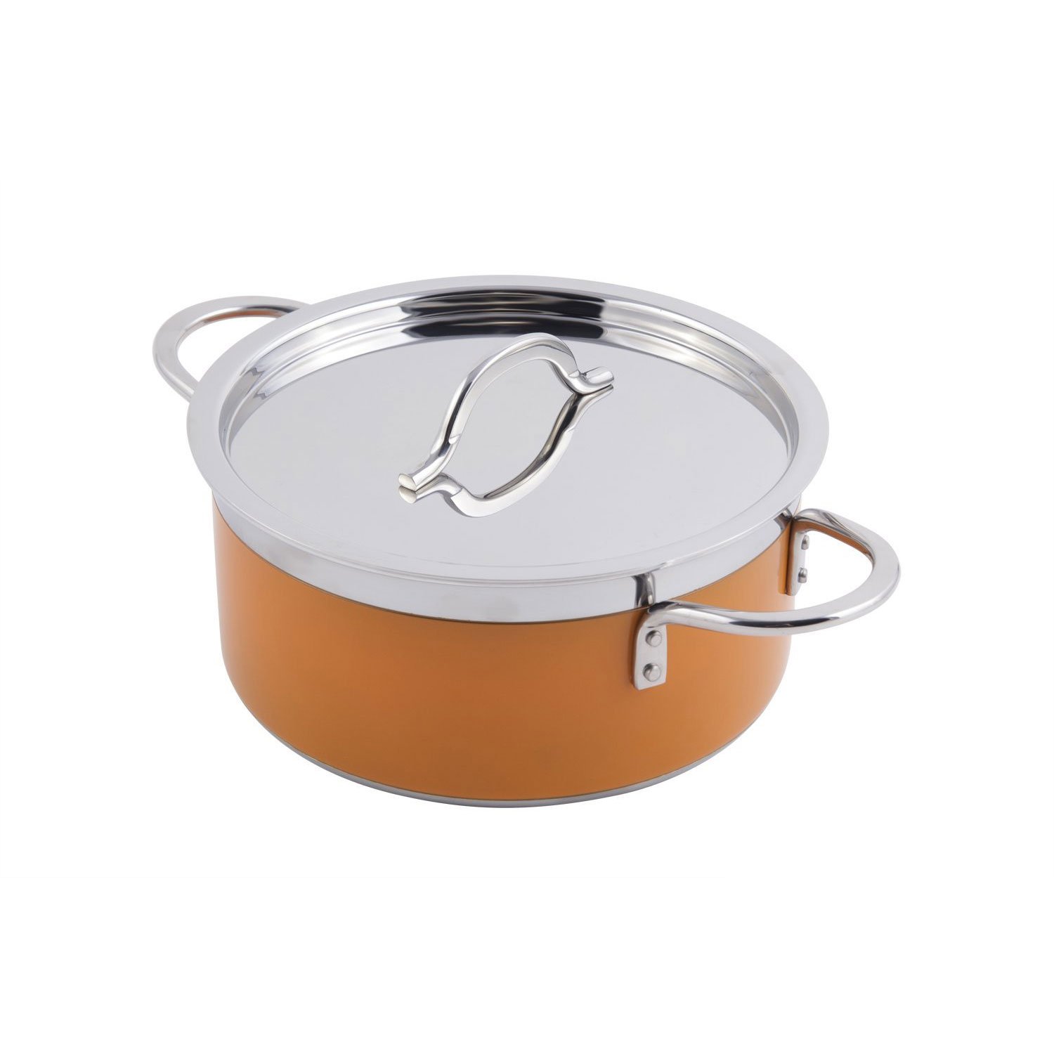 9 3/8 dia. x 4 3/8 H inch Classic Country French Collection 4.3 qt Pot with Cover Orange 1 Ct
