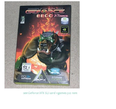 PC Video Card 512MB DDR3 SLI NVIDIA PCI-E XTREME