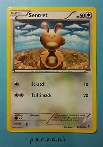 Flashfire Pokemon Card - Sentret (81 of 106)