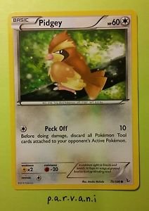 Flashfire Pokemon Card - Pidgey (75 of 106)