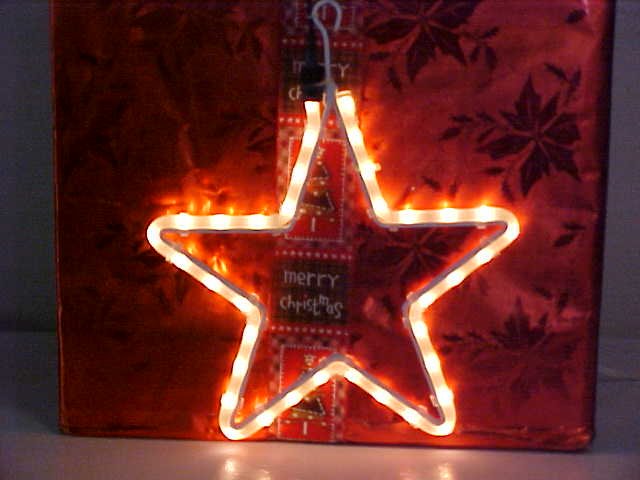 Star Rope Light Sculpture