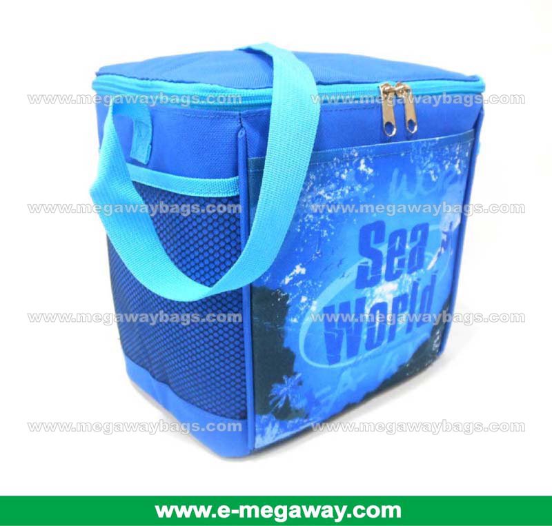 Sea World Warner Bros WetNWild Insulated Cooler Bag Lunch Box Drinks MegawayBags #CC-0028
