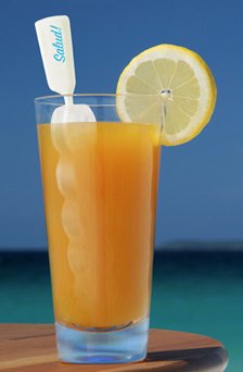 Ice Kabobs Ice Stirrer Mold