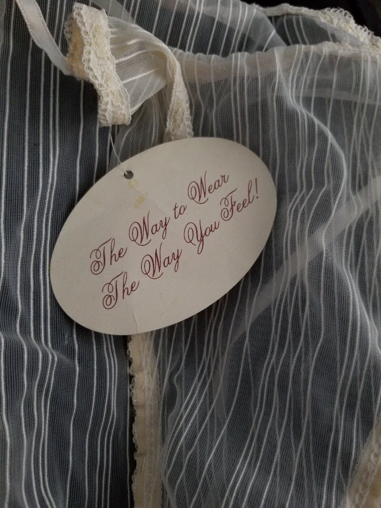 Vintage S Ultra Sheer White Chiffon Nylon Sexy String Bikini Panties SZ MINT NWT