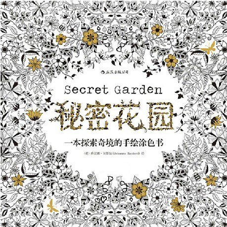 Secret Garden An Inky Treasure Hunt and Coloring Book Digital Copy