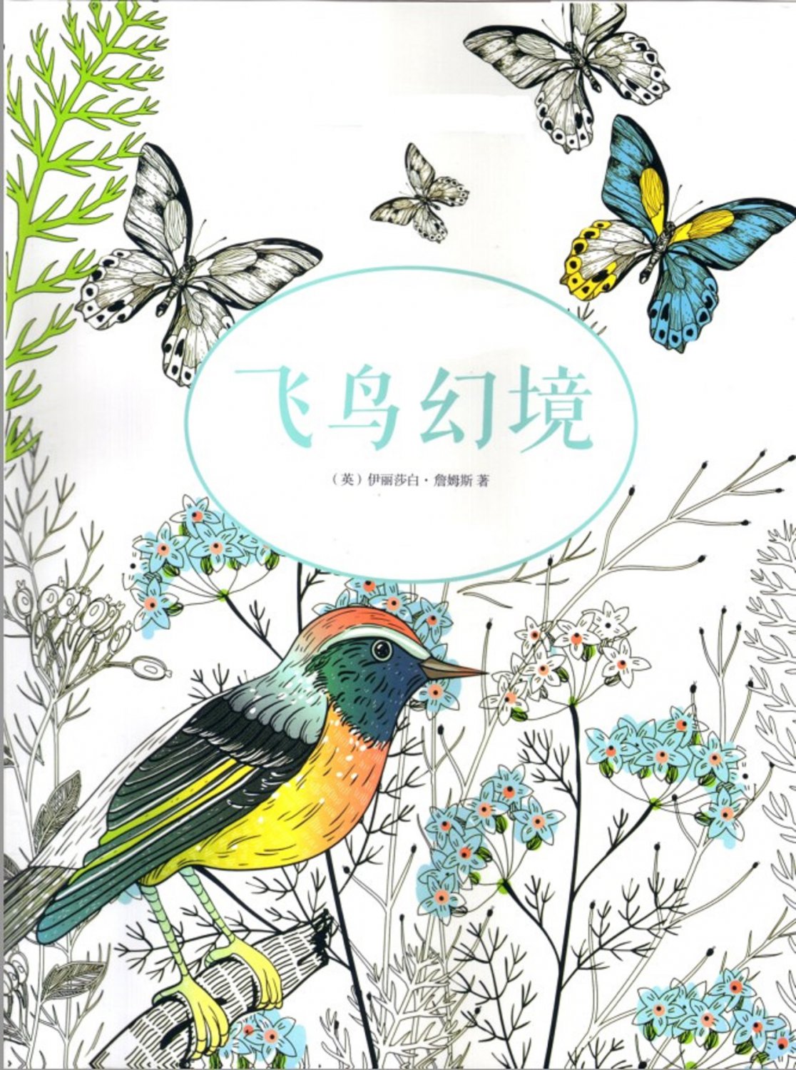 Birds Dreamland For Adult Children Chinese Korean Book Creative Digital Copy