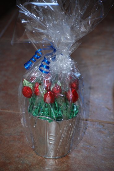 Chocolate Roses