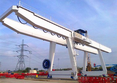 Doube Girder Gantry Cranes