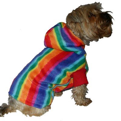 Rainbow Hoody / dog clothes