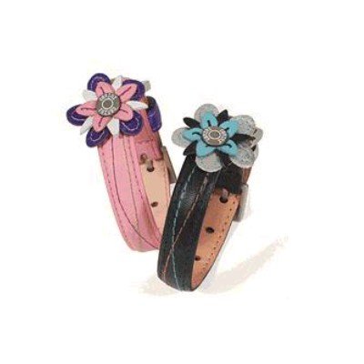 Flower Sash Dog Collar