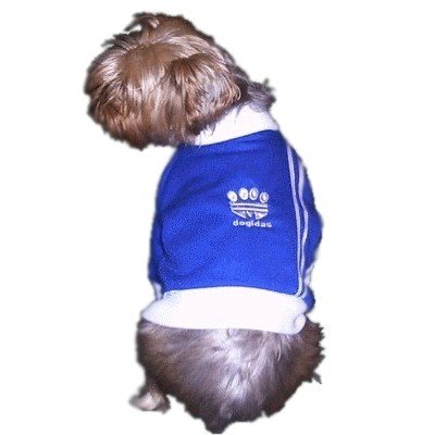 Dogidas Tracktop / dog clothes