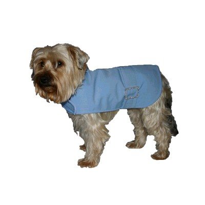 Bonnie Blue / dog coat