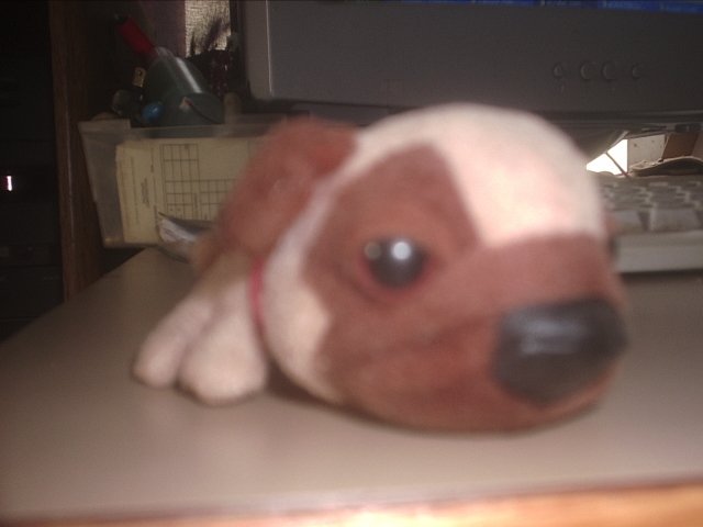 Beanie baby toys brown dog