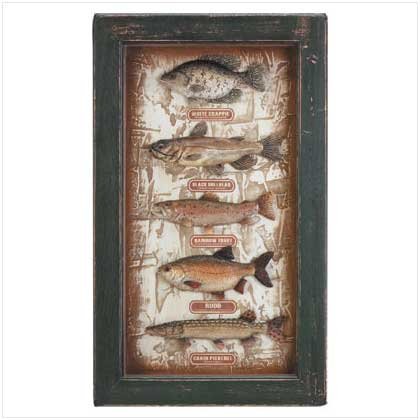 FRESHWATER FISH SHADOWBOX