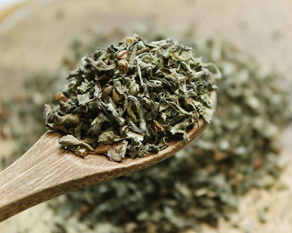 Basil Leaf 100 gms