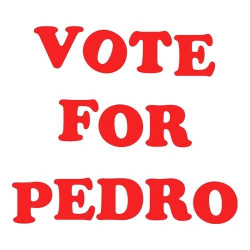 Napolean Dynamite - Vote for pedro