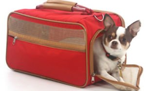DOG CARRIER AIRLINE APPROVED chihuahua teacup yorkie PET CARRIER UP TO 8 LBS NEW