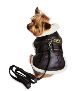 DOG COAT chihuahua teacup yorkie maltese DESIGNER DOG BOMBER JACKET & LEASH SET