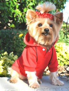 DOG SWEAT SHIRT yorkie chihuahua toy poodle DOG HOODIE JUMPER clothes SHIPS USA