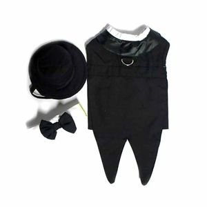 dachshund pug westie terrier DELUXE DOG TUXEDO TUX W/ TOP HAT TAILS TIE & LEASH