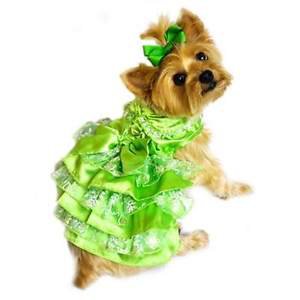 XS DOG DRESS teacup yorkie chihuahua maltese DOG PARTY DRESS W/ LEASH SHIPS USA