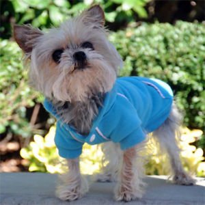 DOG SWEATSHIRT yorkie chihuahua toy poodles DOG HOODIE JUMPER clothes SHIPS USA