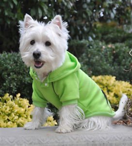 SM DOG HOODIE chihuahua yorkie toy poodle GREEN DOG SWEATSHIRT clothes SHIPS USA