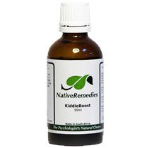 KiddieBoost - Children's Natural Immune System Enhancer