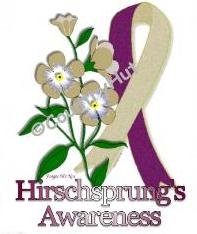 T-shirt, HIRSCHSPRINGS Awareness FORGET ME NOT - (adult 2xlg - 3xlg)
