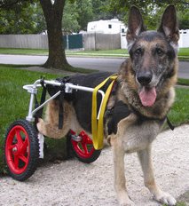 BEST FRIEND MOBILITY DOG WHEELCHAIR LARGE ALUMINUM LIGHTWEIGHT CART