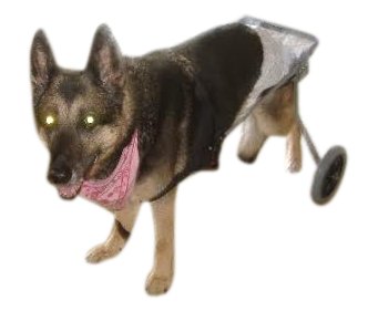 BEST FRIEND MOBILITY DOG WHEELCHAIR SIZE MEDIUM ALUMINUM LIGHTWEIGHT CART
