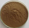 Tribulus Terrestris Extract