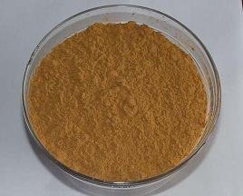 Motherwort Extract