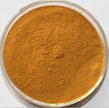Mulberry Leaf Extract