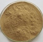 Rumex Crispus Extract
