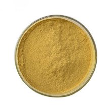 Astragalus Extract