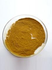Acanthopanax Powder