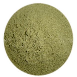 Ginkgo Biloba Powder